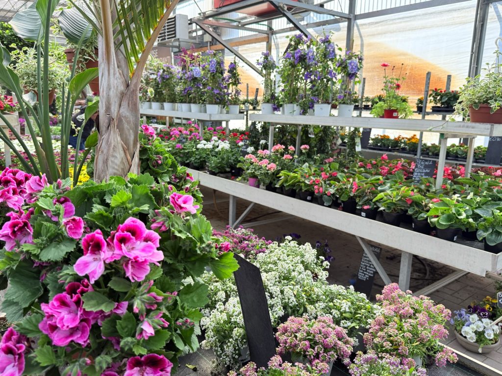Scarpellini Garden