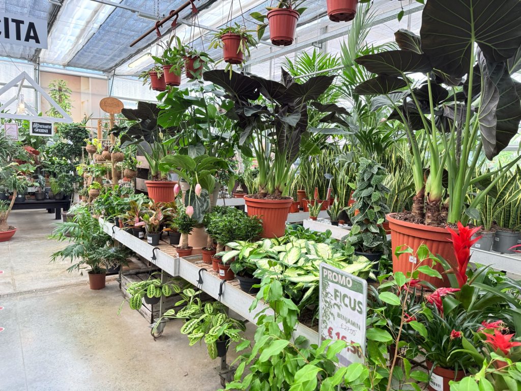 Scarpellini Garden