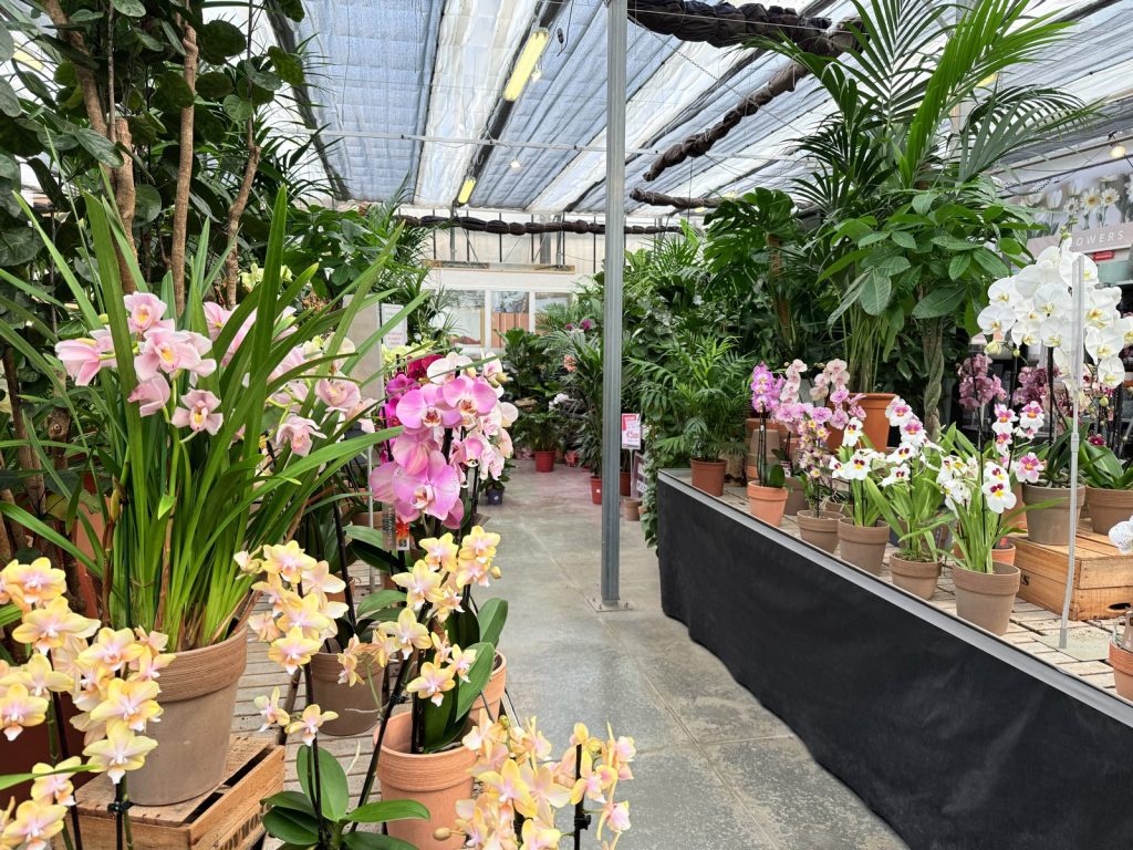 Scarpellini Garden