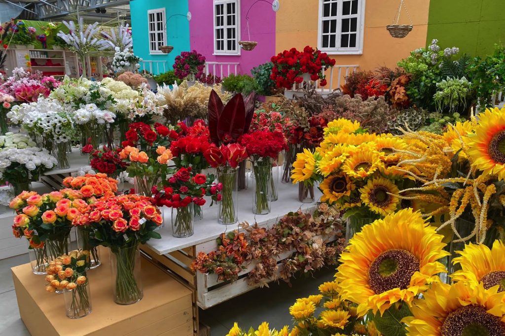 Show Garden