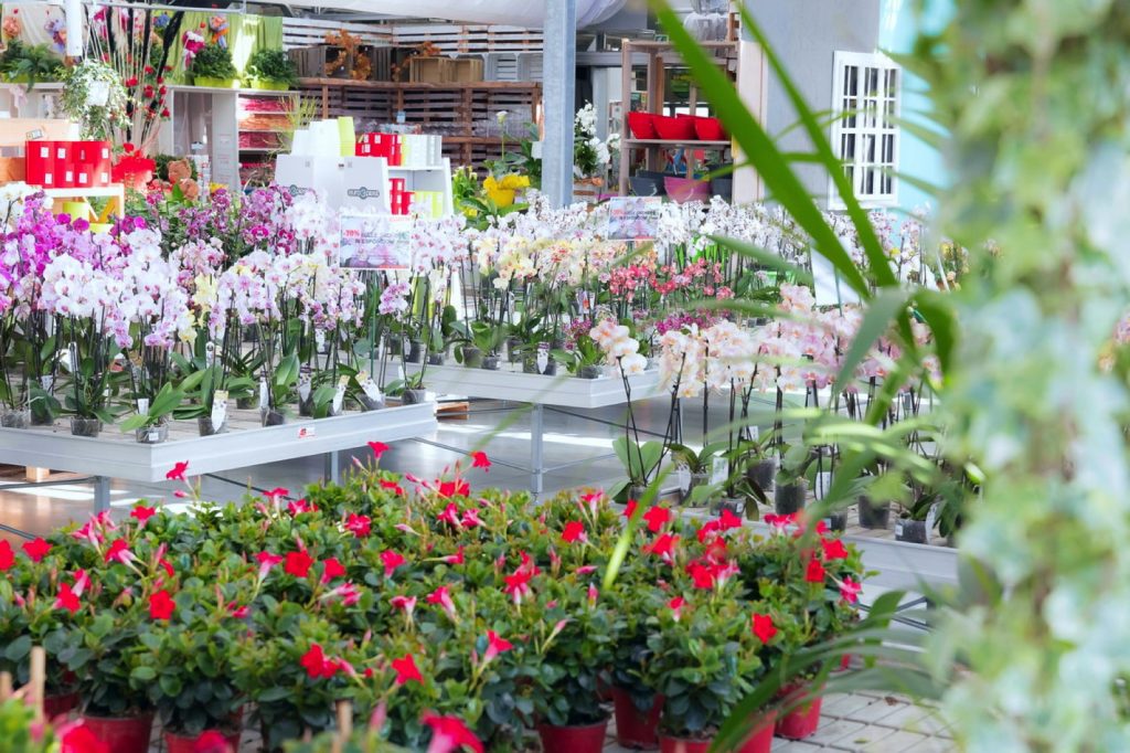 Show Garden